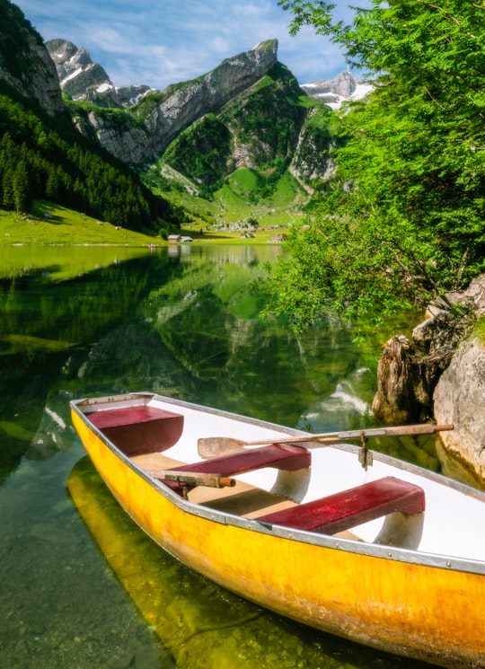 brown wooden boat on lake during daytime in Seealpsee Switzerland