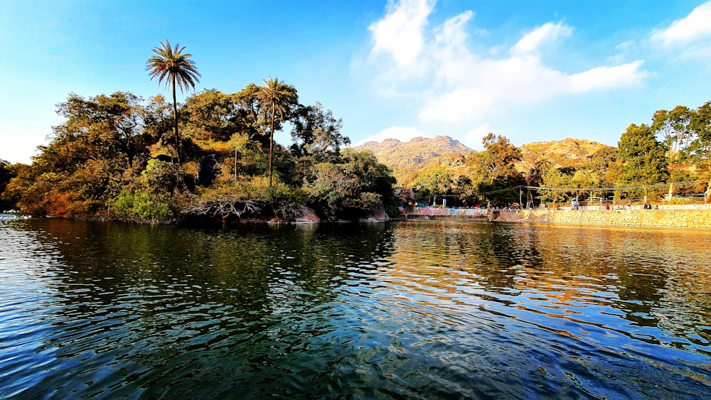 green trees beside body of water under blue sky during daytime