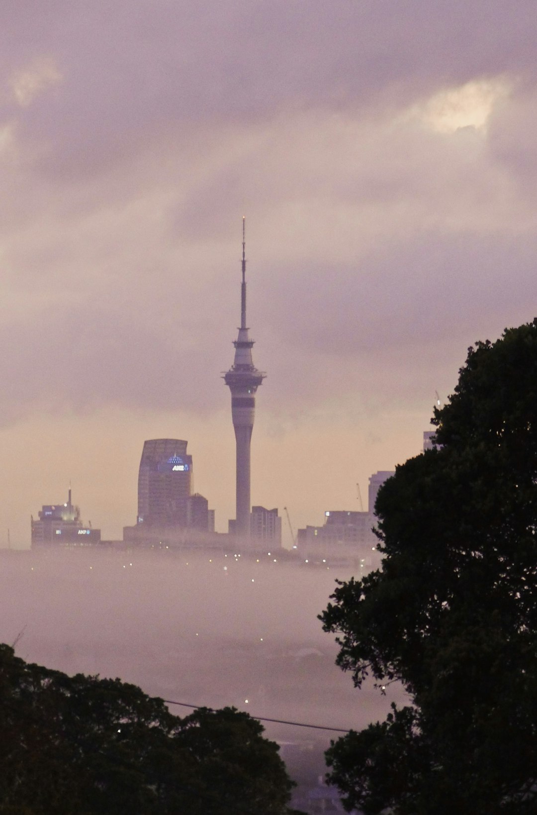 Landmark photo spot Summit Drive Waitemata Harbour