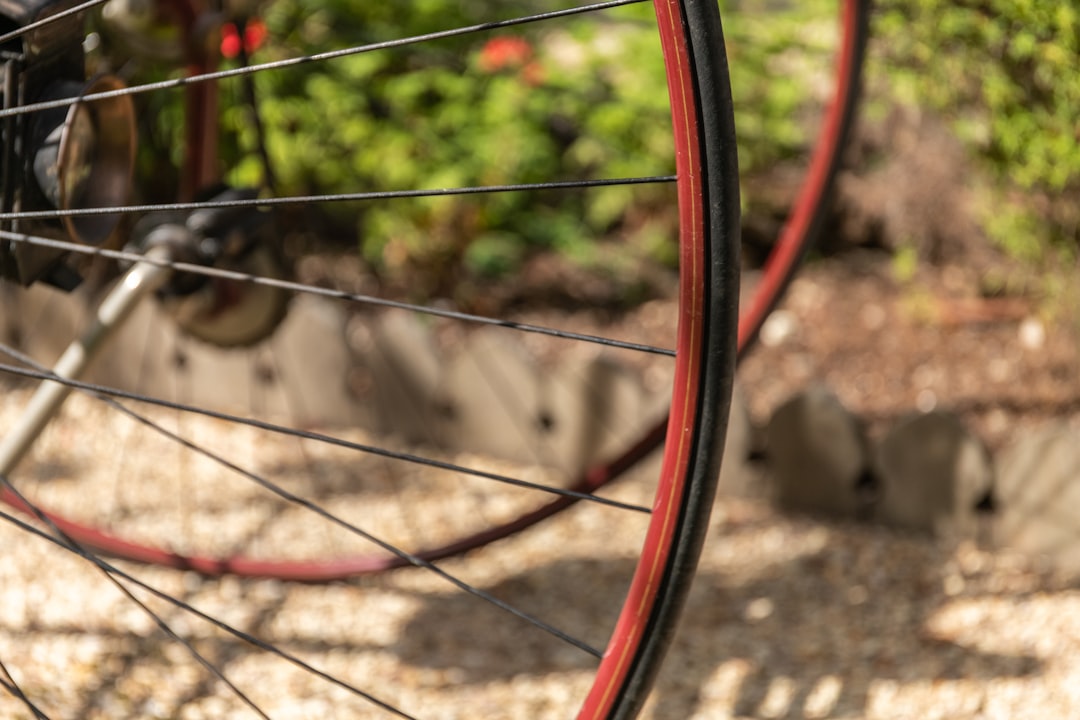 brown metal wheel with chain link fence