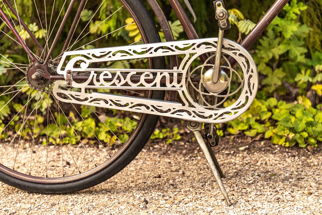 bicycle wheel on brown soil