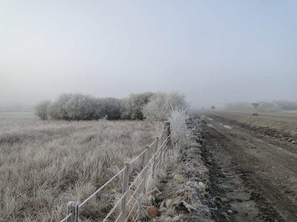 brown dirt road between green grass field under white sky during daytime