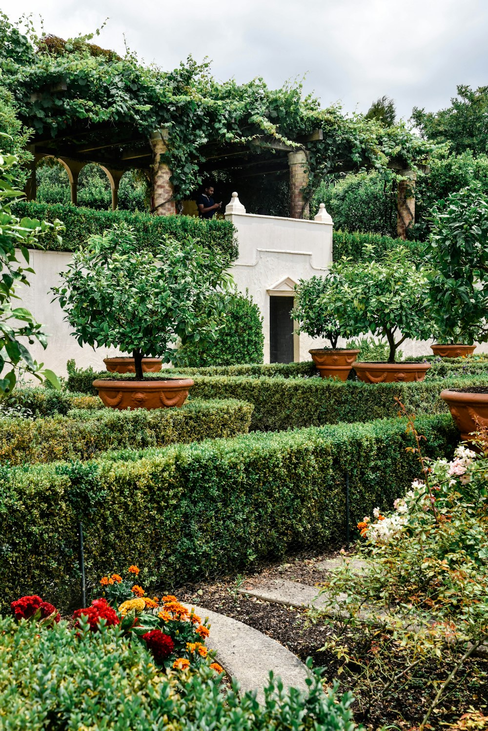 green plants on brown clay pots