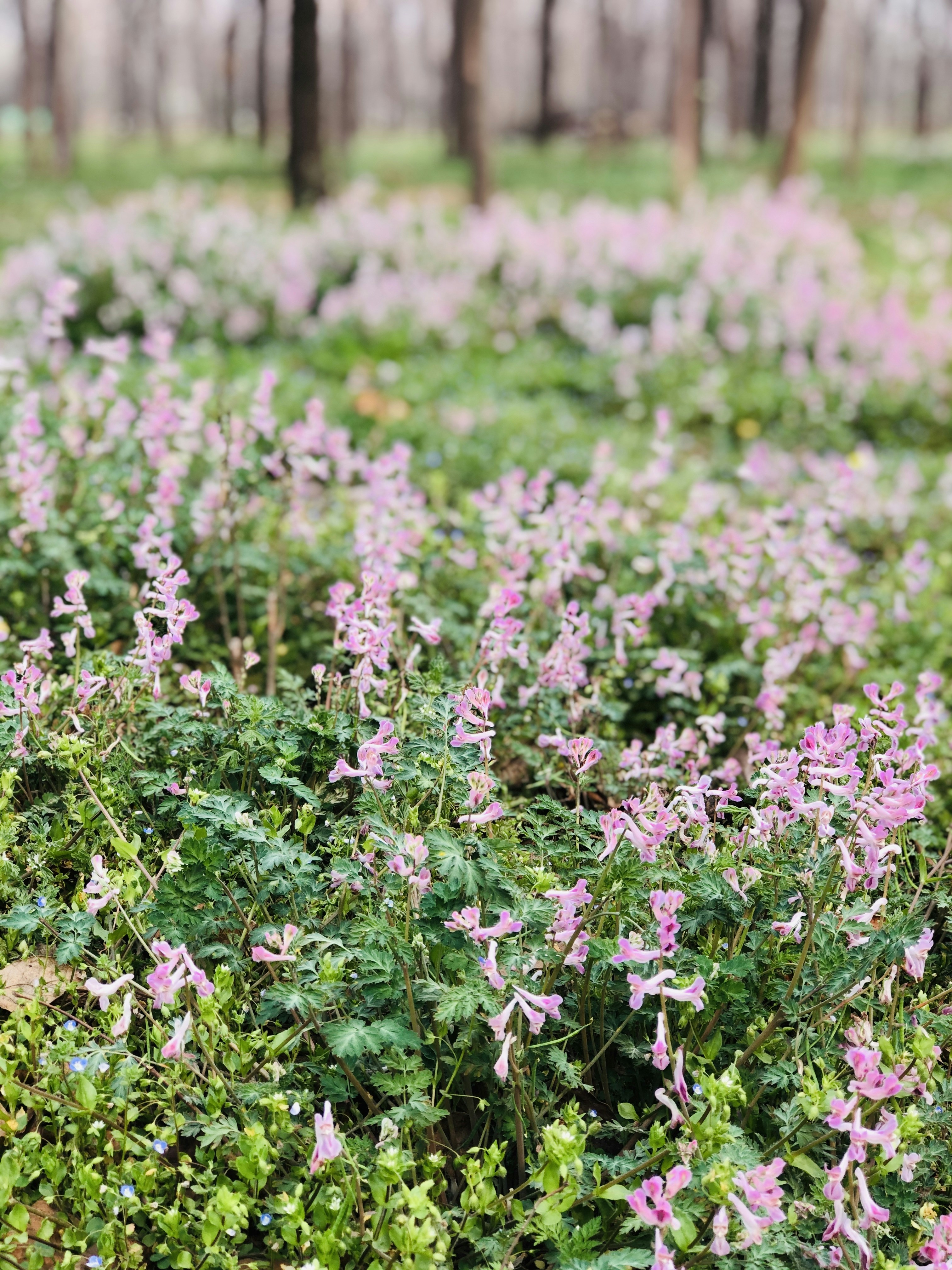 Photo by solarcellsky