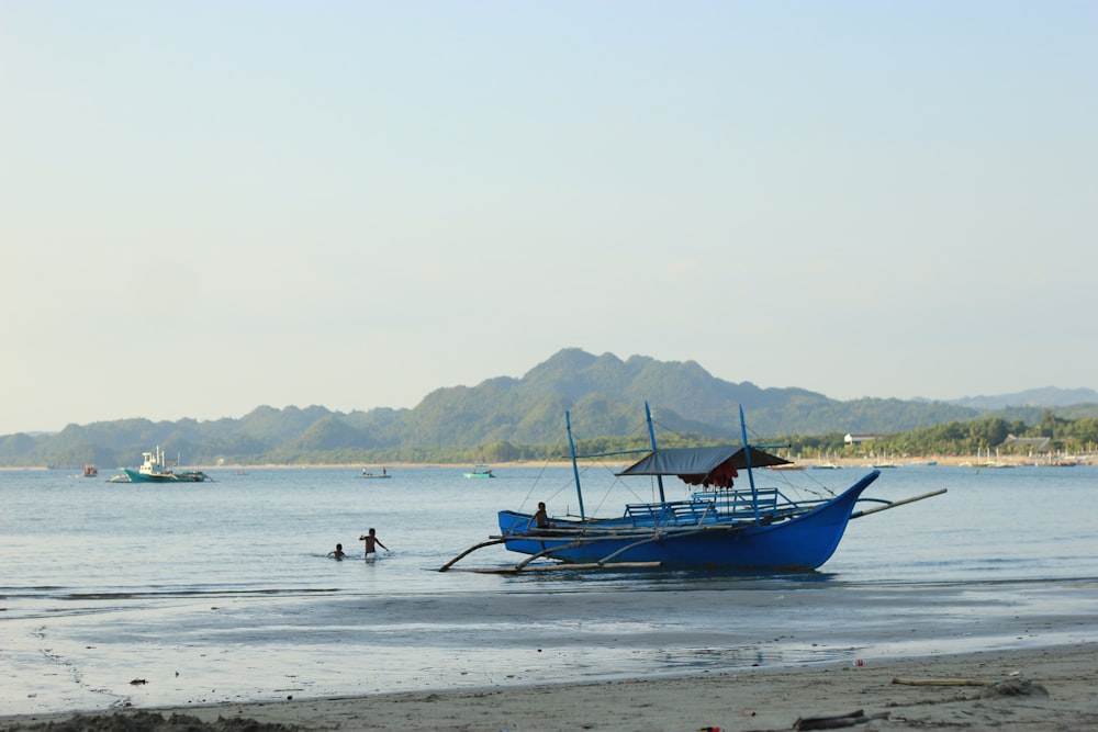 people on beach during daytime