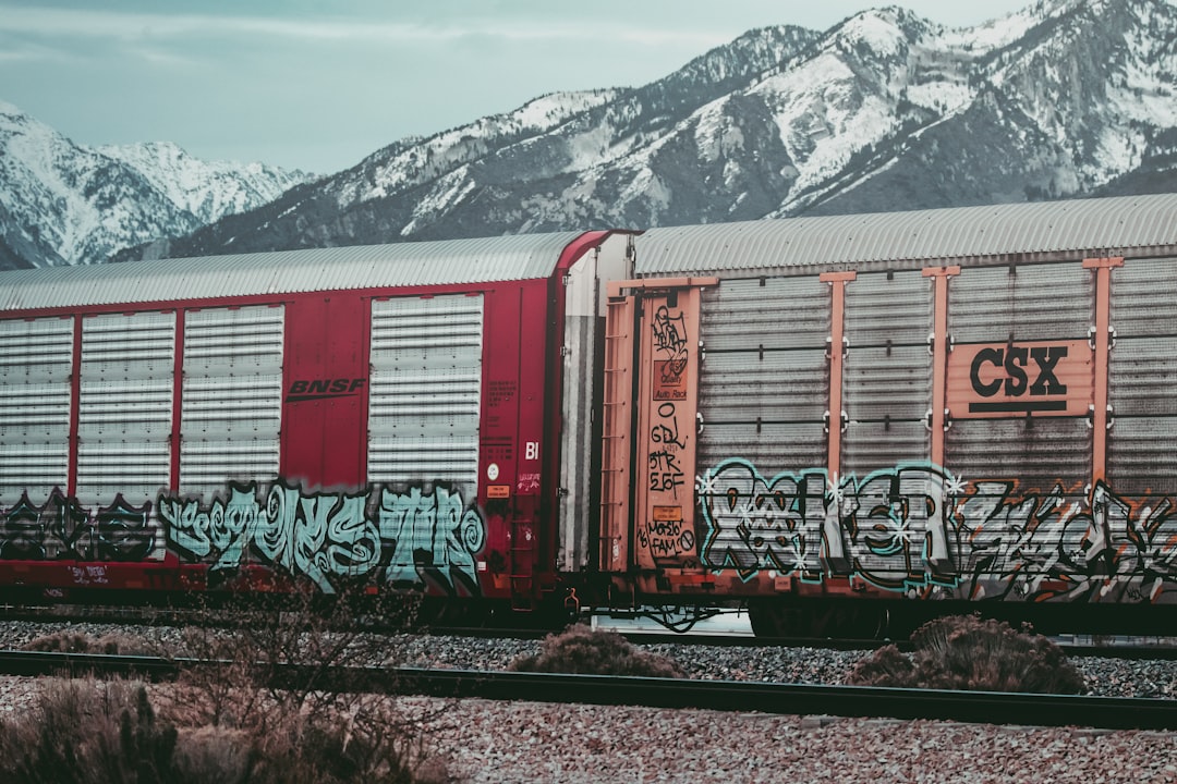 red and white train near snow covered mountain during daytime