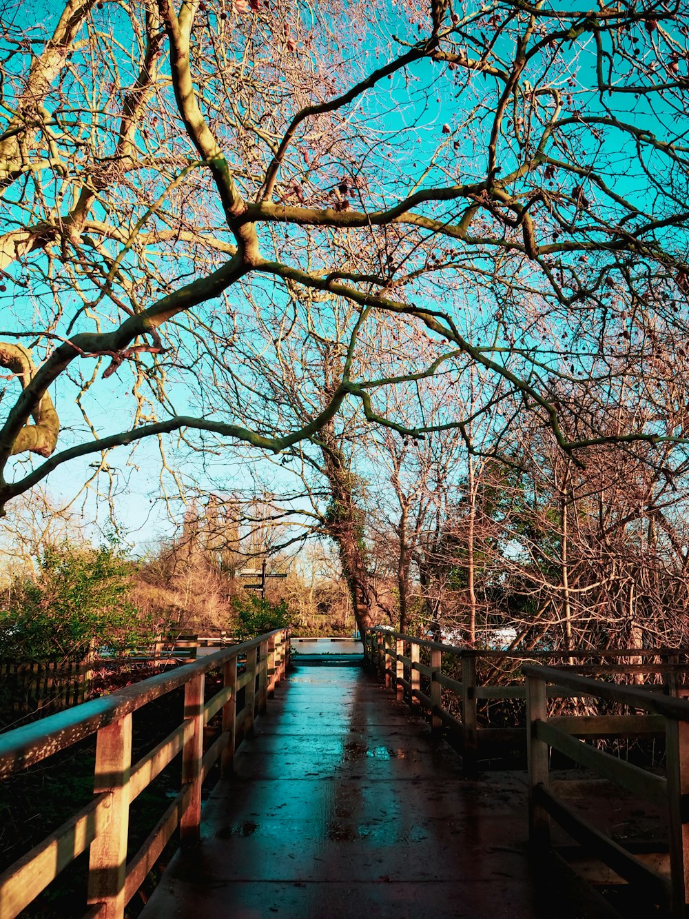 brown wooden bridge over river