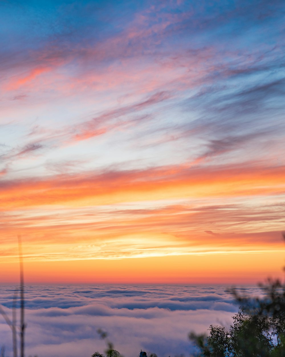 Silueta de árboles bajo cielo nublado durante la puesta del sol