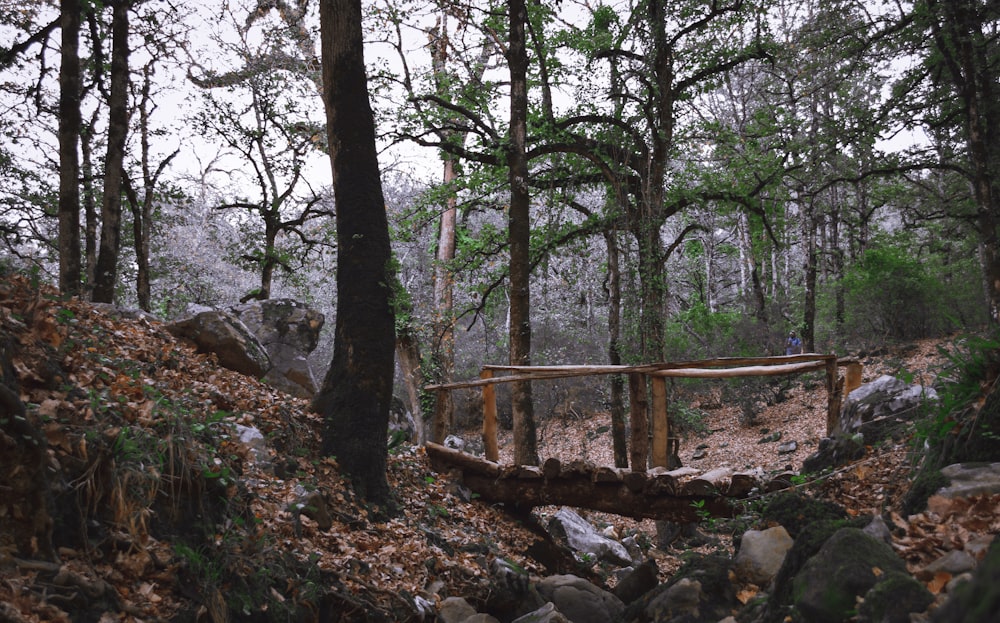 brown wooden bridge in the woods