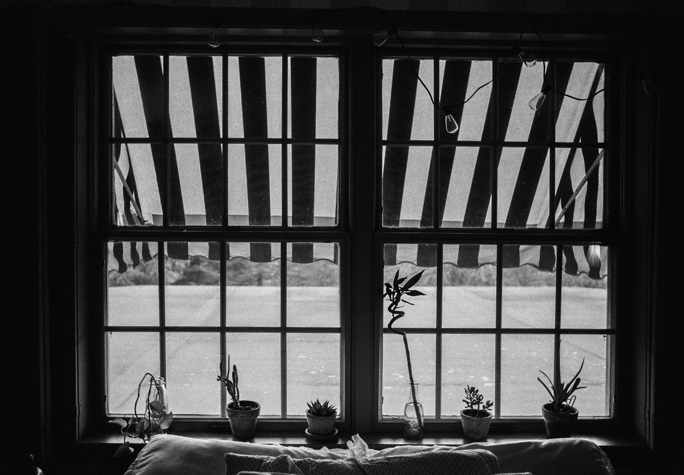 Photo by maddieleopardo