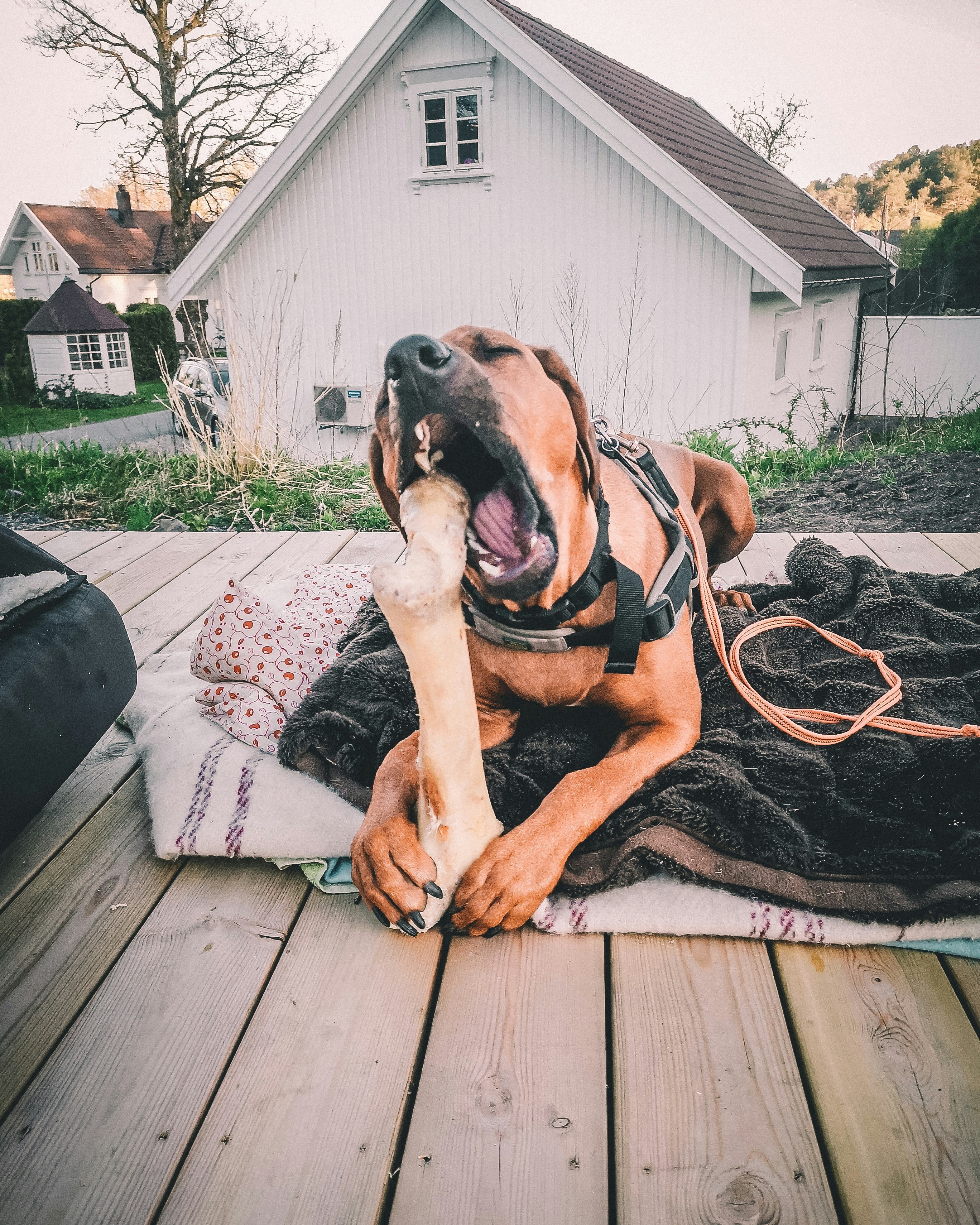 Photo by mariadilorenzo