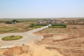 green grass field under white sky during daytime