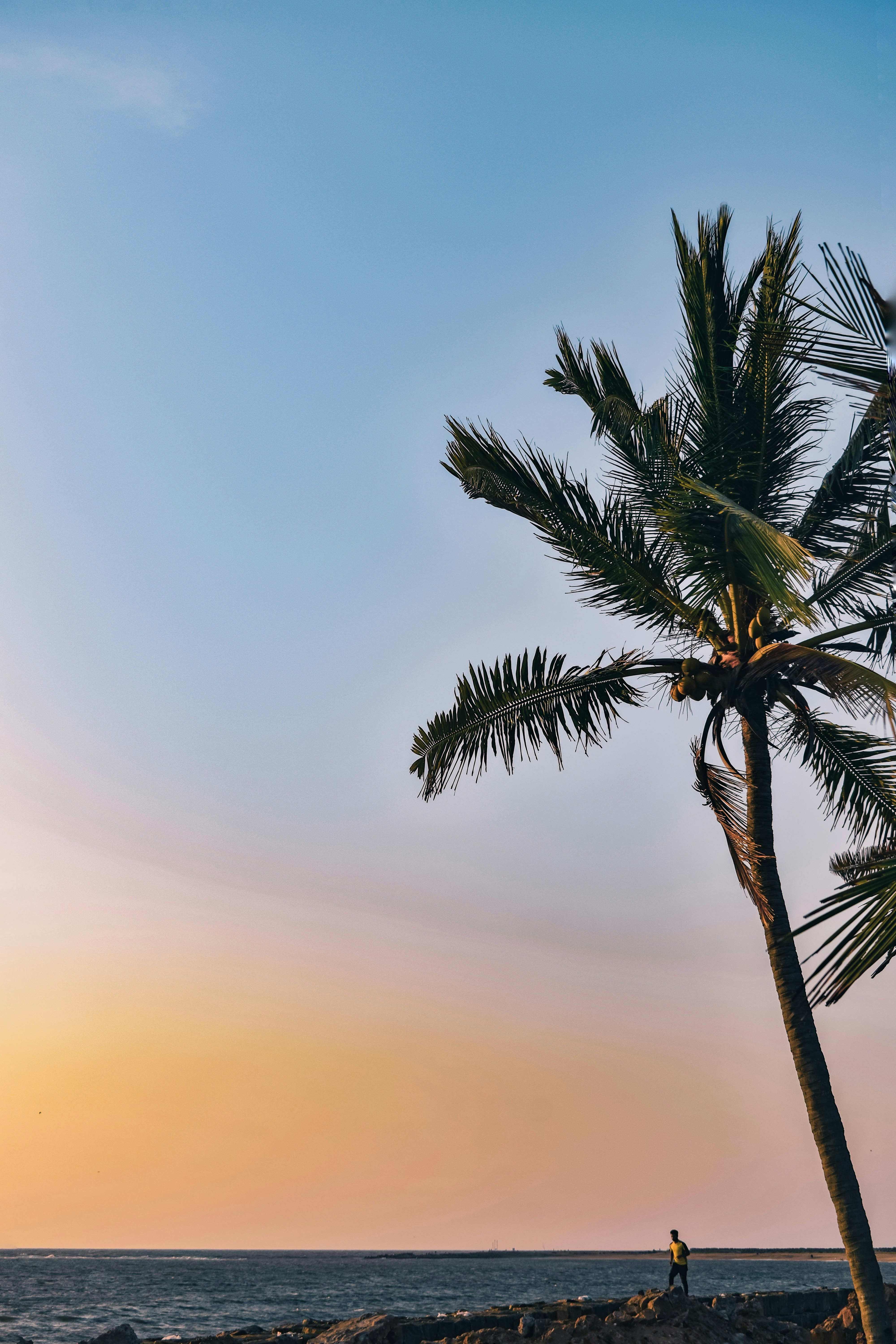 Beach in kerala