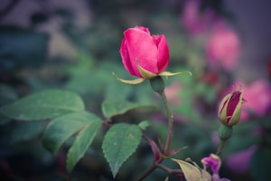 Photo 1587968564159 C476f0a434e8?q=85&w=340&h=200&fit=crop