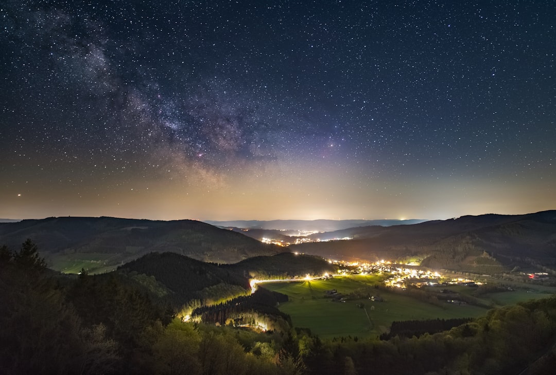 green trees and green grass field under blue sky with stars during night time