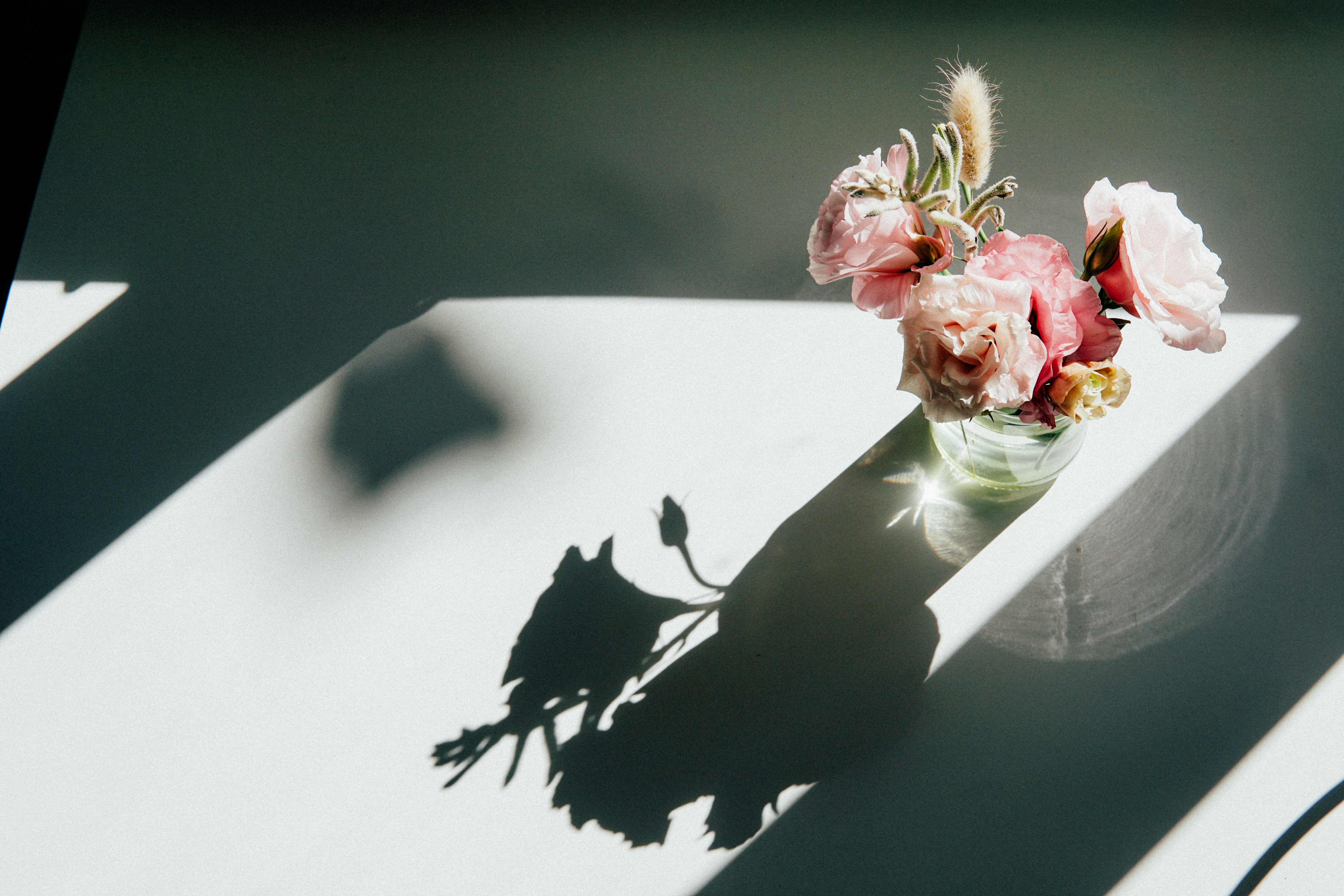 Photo by elletakesphotos