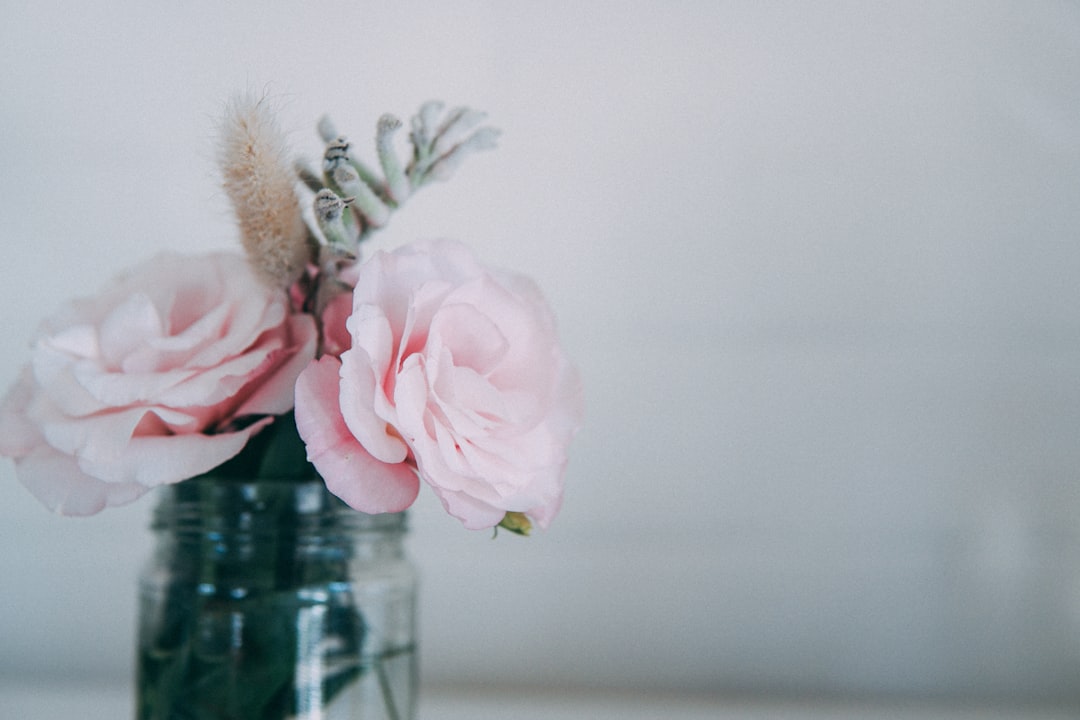 pink roses in glass vase