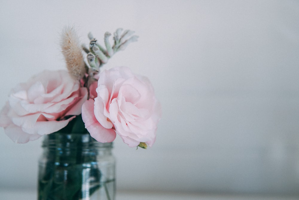 ガラスの花瓶に飾られたピンクのバラ