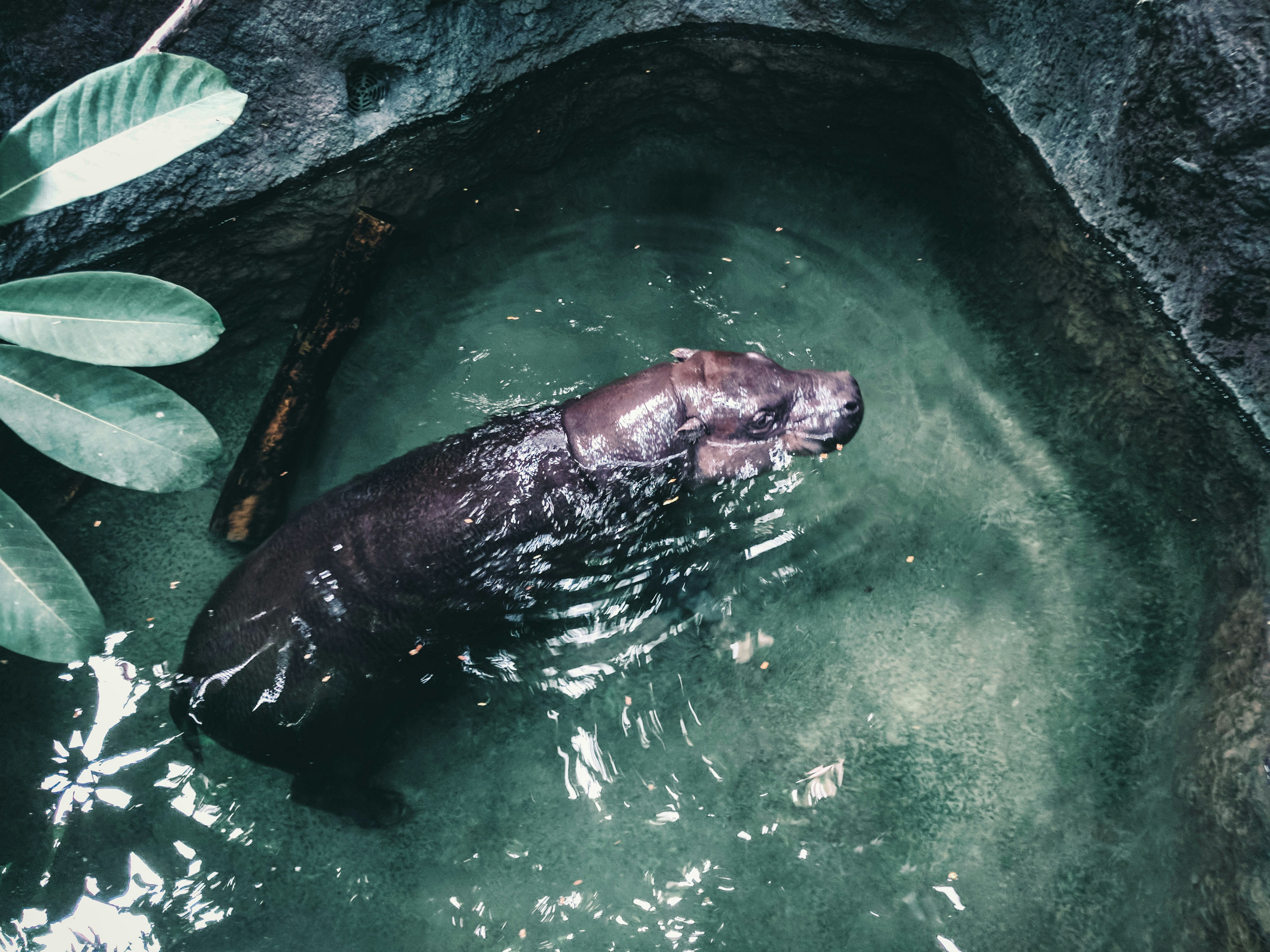 Photo by lureofadventure