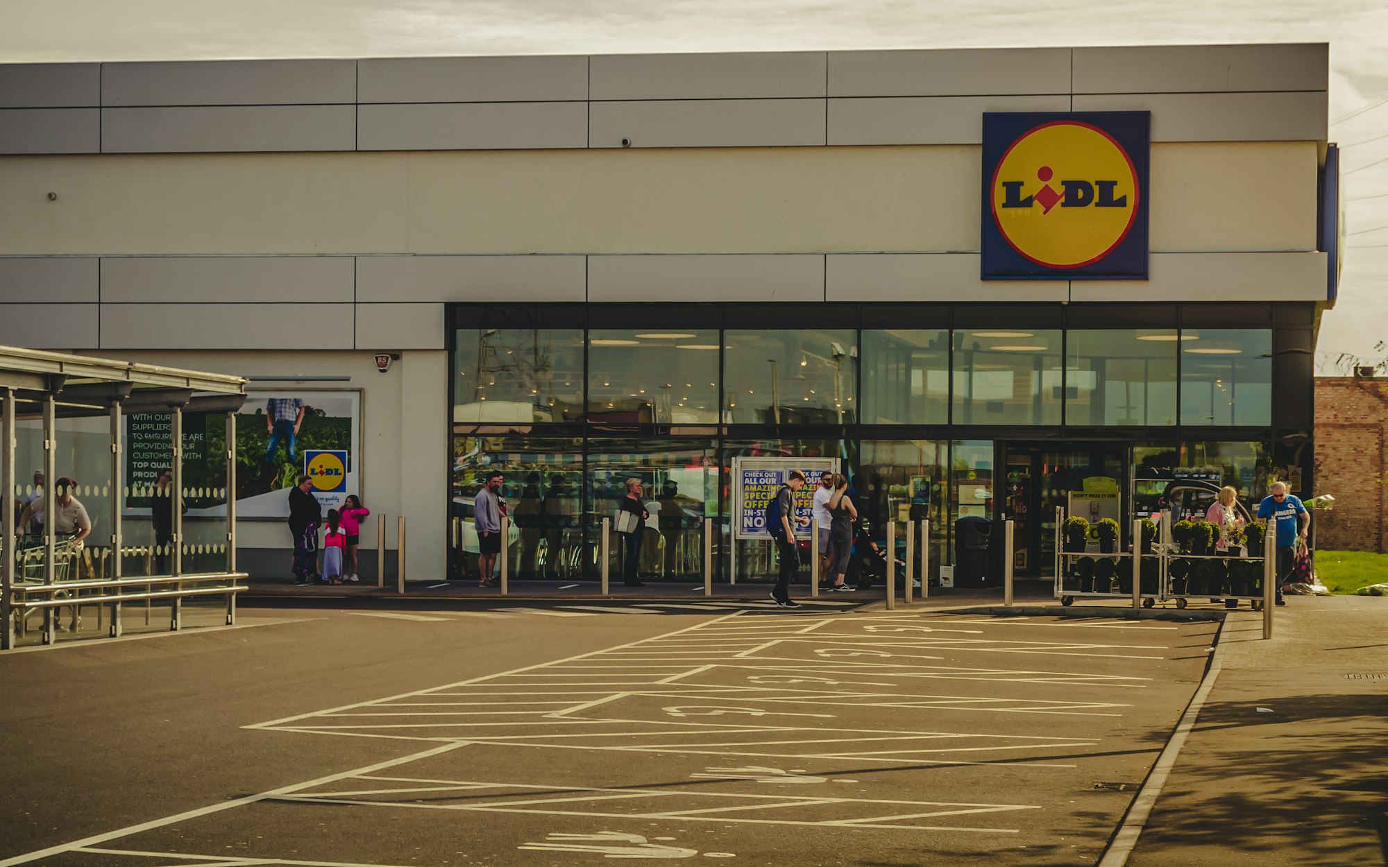 Lidl poszerza ofertę na testy przeciwko COVID-19. Teraz będzie można tam kupić...