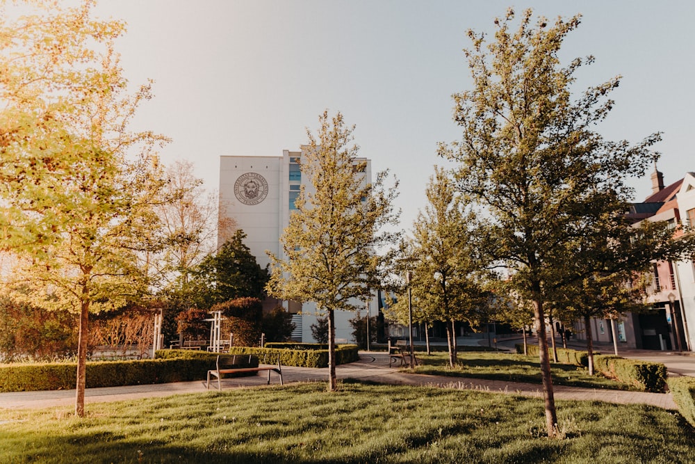 white concrete building near trees during daytime