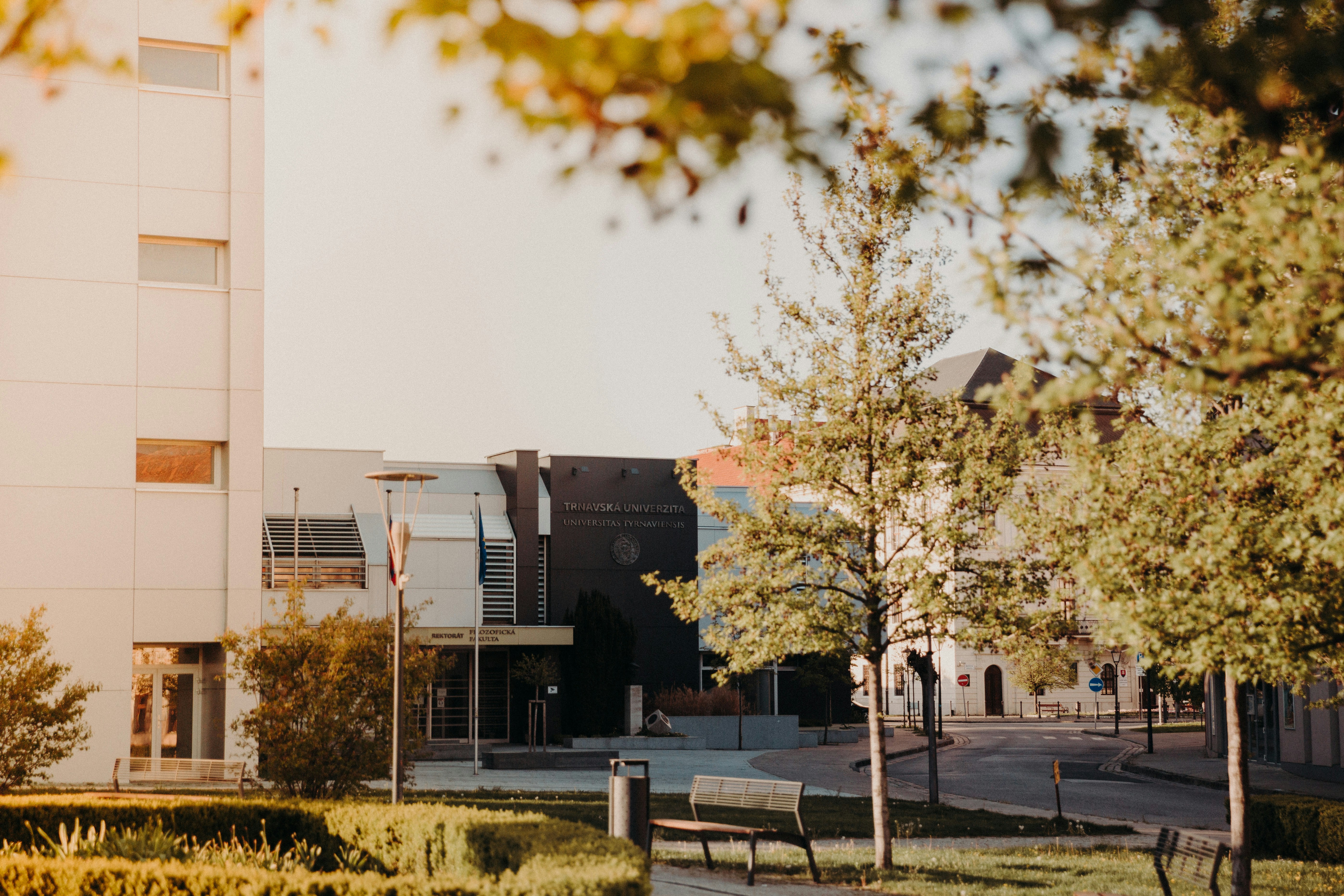 Photo by trnavskauni