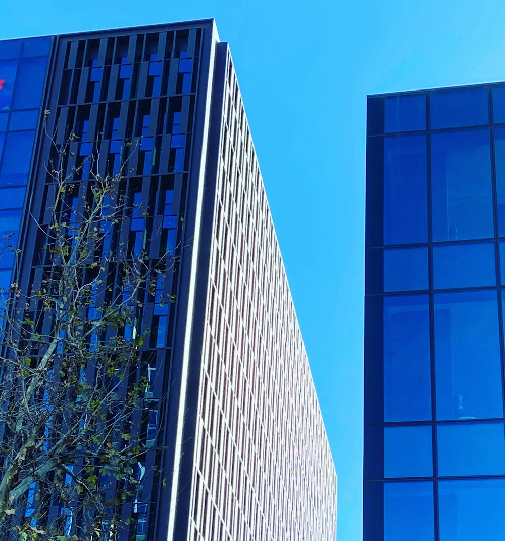 blue glass walled high rise building