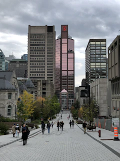 people walking on pedestrian lane near high rise buildings during daytime