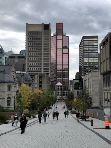 people walking on pedestrian lane near high rise buildings during daytime