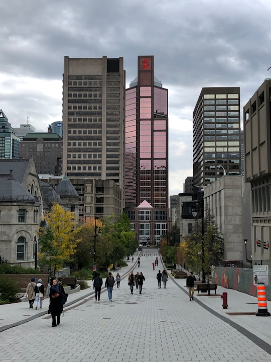 people walking on pedestrian lane near high rise buildings during daytime in McGill Canada