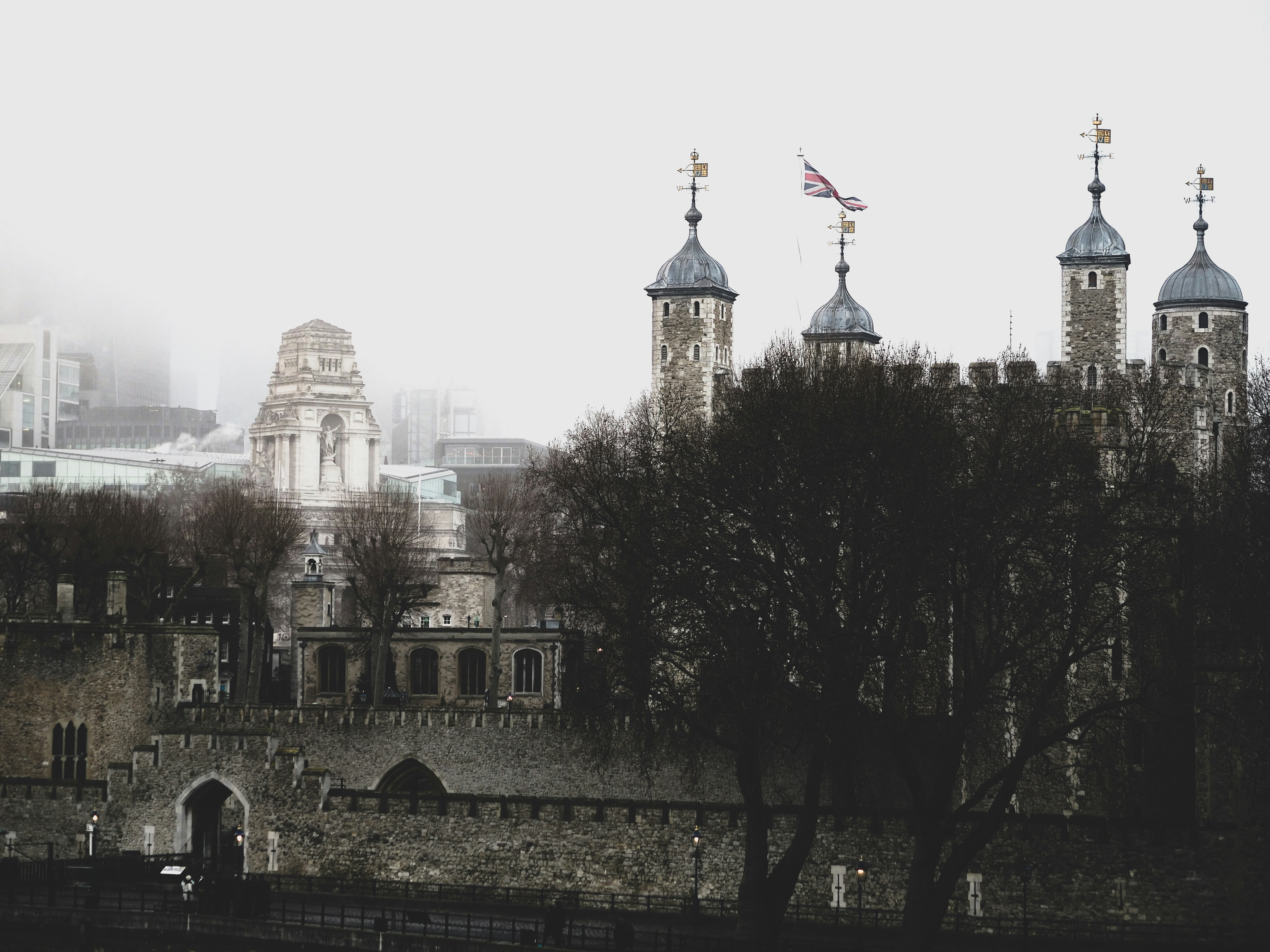 Photo by laurachouette