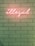 A neon sign spelling the word 'illegal' is affixed to a brick wall. The glowing letters are pink, contrasting with the muted tone of the wall, which has a slight greenish hue.