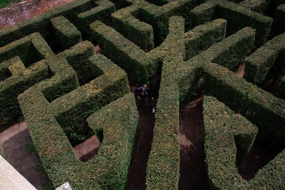 person in black jacket walking on green grass field