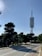 A tall, modern telecommunications tower rises into a clear blue sky. It's surrounded by green trees, and in the foreground, there's a winding road lined with posts. The overall setting appears to be a hilly area with a serene atmosphere.