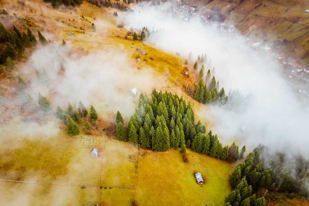 travelers stories about Watercourse in Fundata, Romania