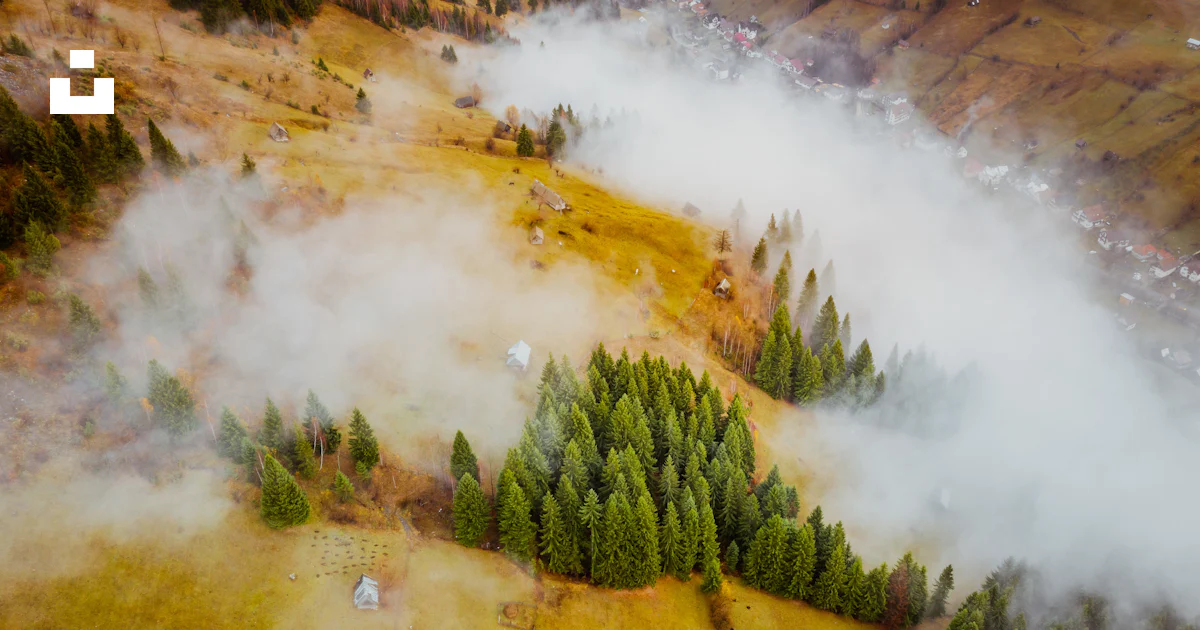 Funbata Image Green grass field with white smoke photo – Free Fundata Image on Unsplash