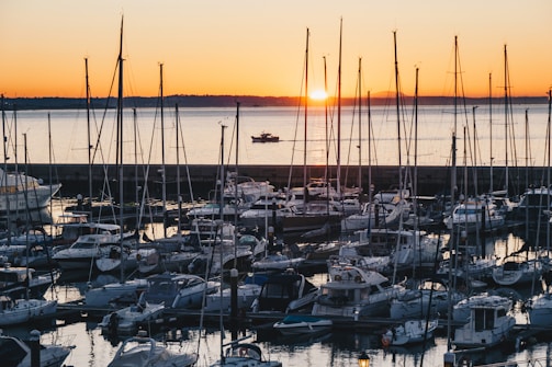 white and black boats on sea during sunset