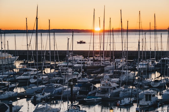 white and black boats on sea during sunset in Cascais Portugal