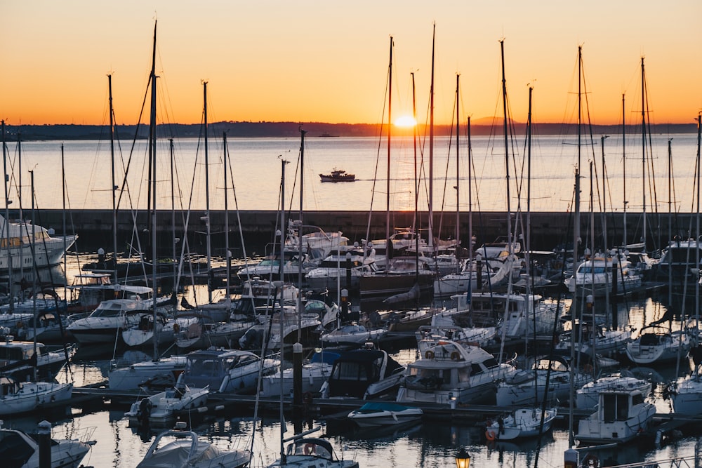 white and black boats on sea during sunset