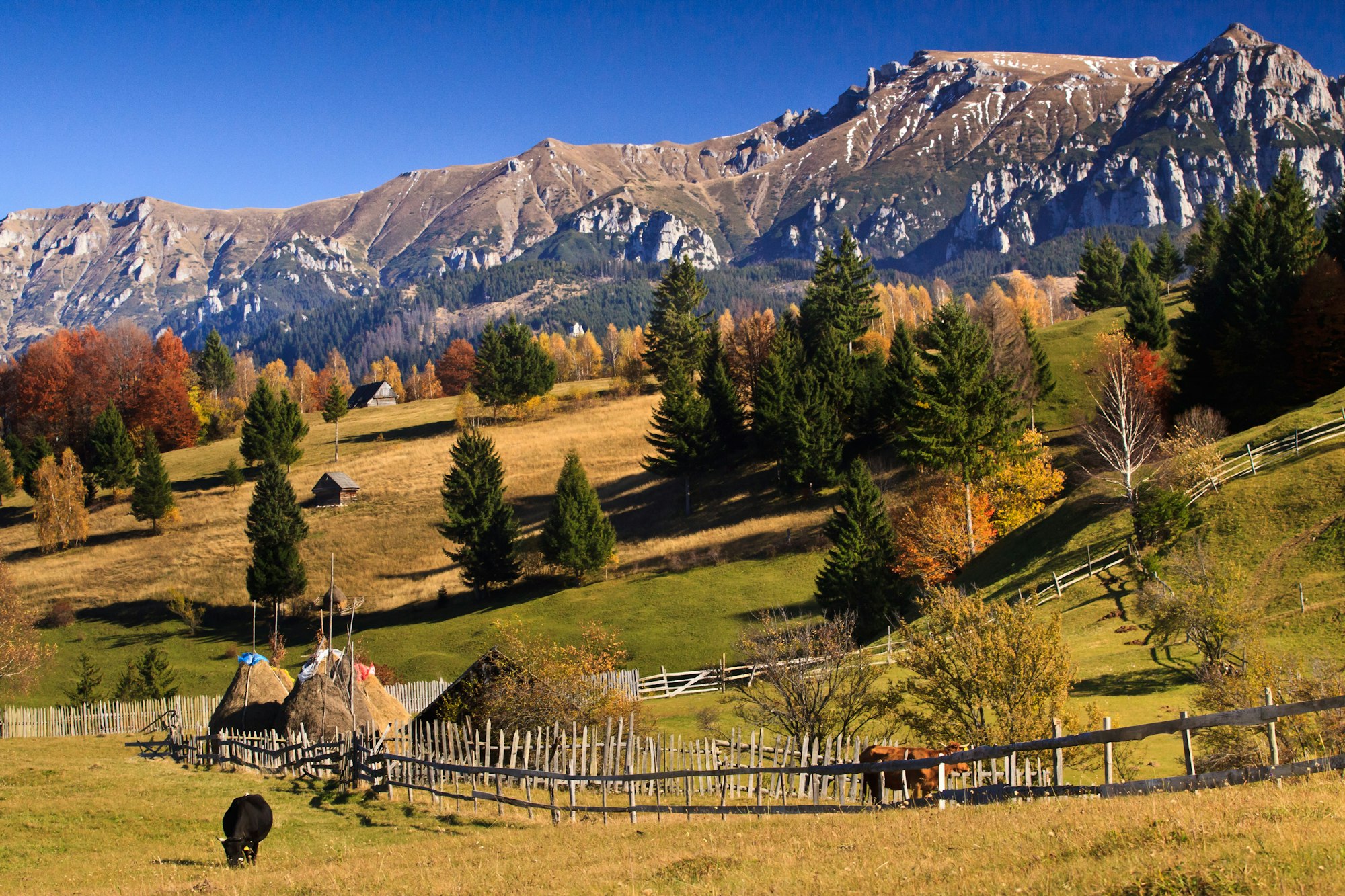 Mountain autumn landscape with colorful forest and traditional houses in Transylvania Romania near Bran and Bran Castle