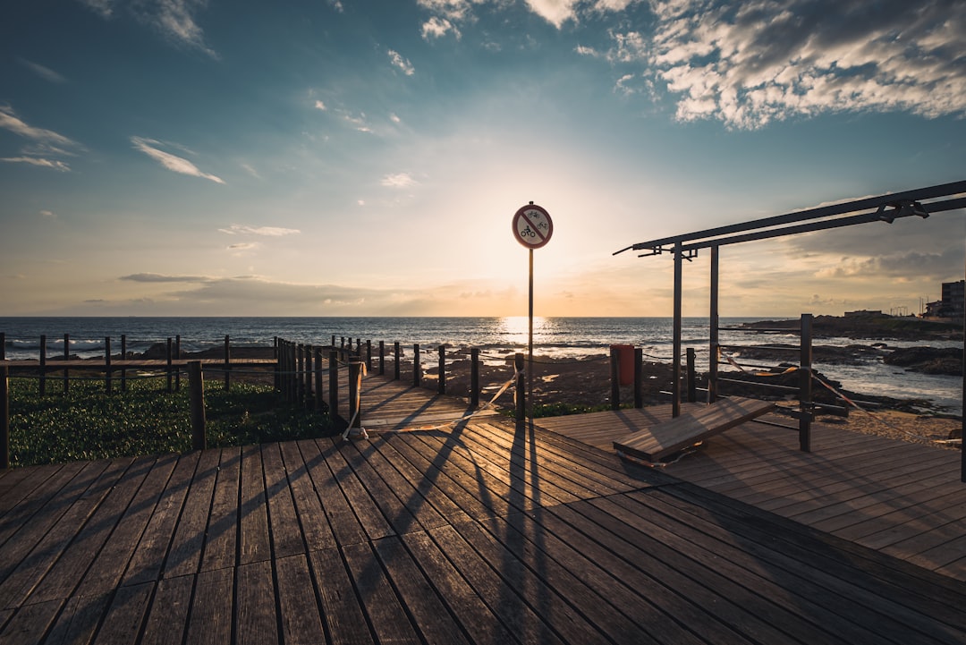 brown wooden dock near body of water during daytime