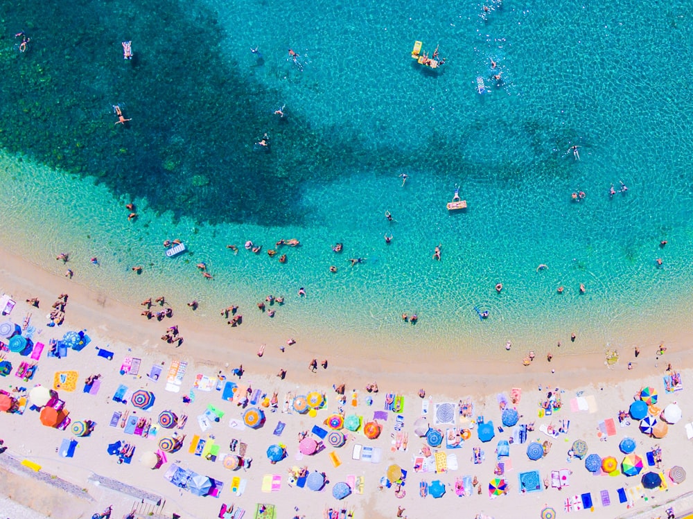 people on beach during daytime