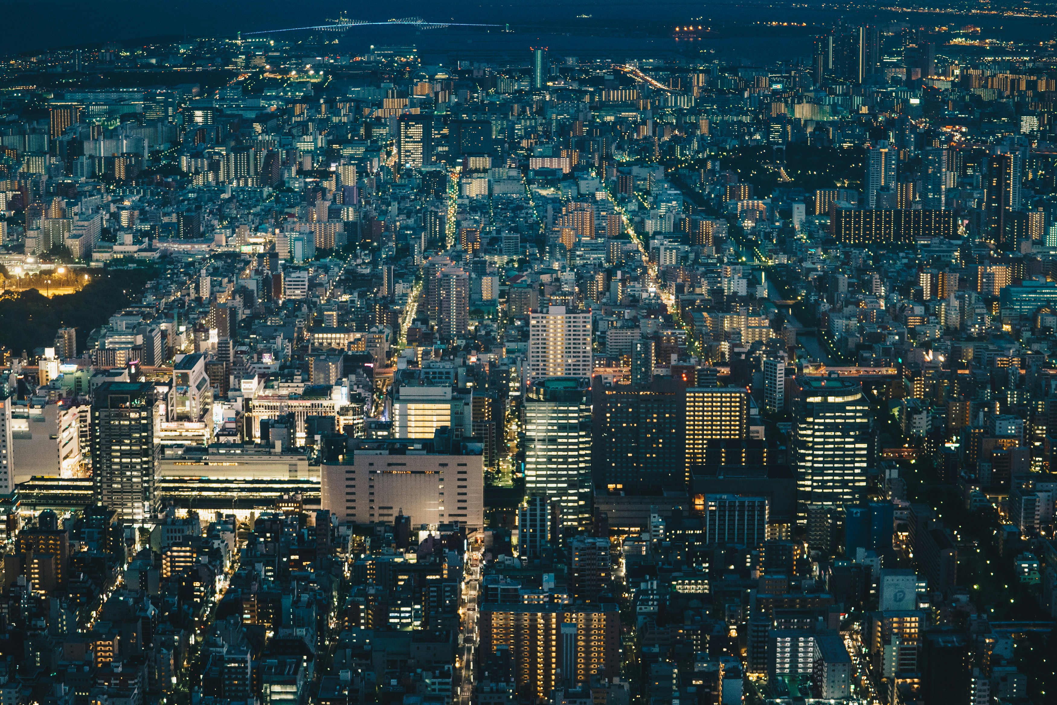 Japan Tokyo City Skyline as seen from above. Aerial view at night