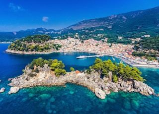 aerial view of green trees and blue sea during daytime