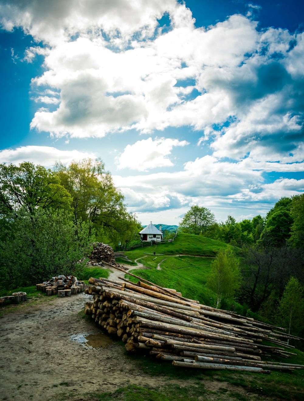 brown wooden fence near green trees under blue sky and white clouds during daytime