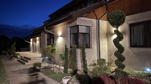 A modern, illuminated house exterior during twilight features a contemporary design with well-manicured plants, including a spiral-shaped topiary and small shrubs lining the pathway. The outdoor lighting casts a warm glow on the facade, accentuating the wooden and stone elements.