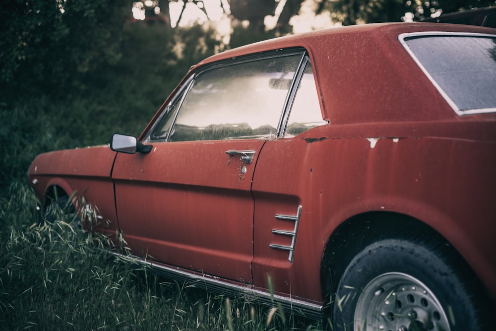 rotes Auto tagsüber auf grünem Gras