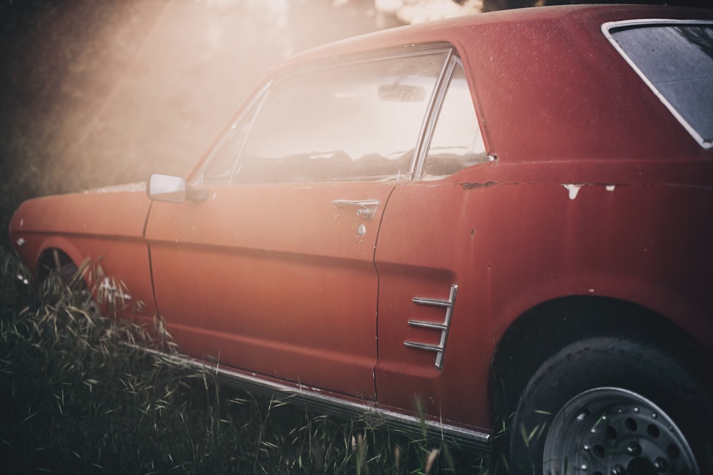 red car on green grass during daytime