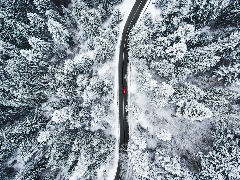 雪に覆われた道路を走る黒い車
