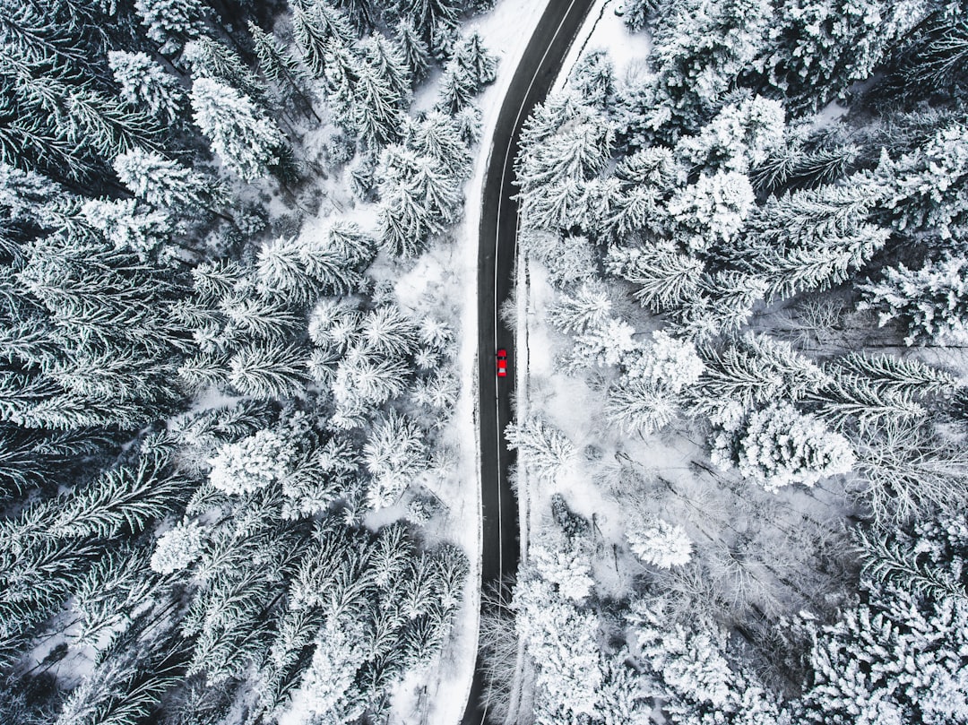 black car on road covered with snow